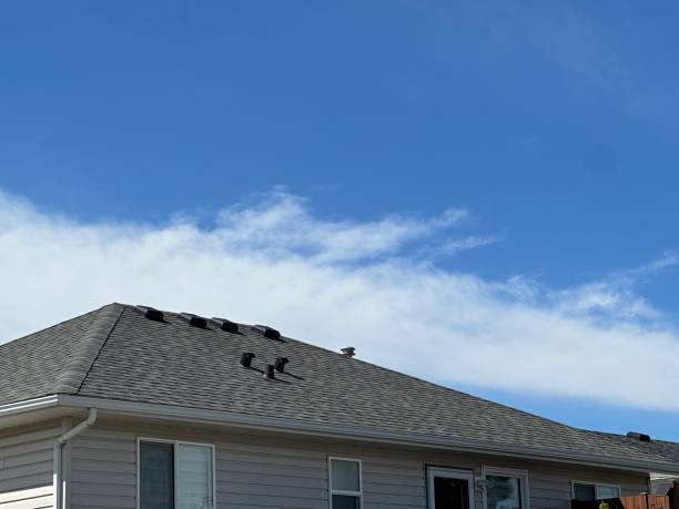 Fast & Reliable Emergency Roof Repairs in Steep Falls, ME